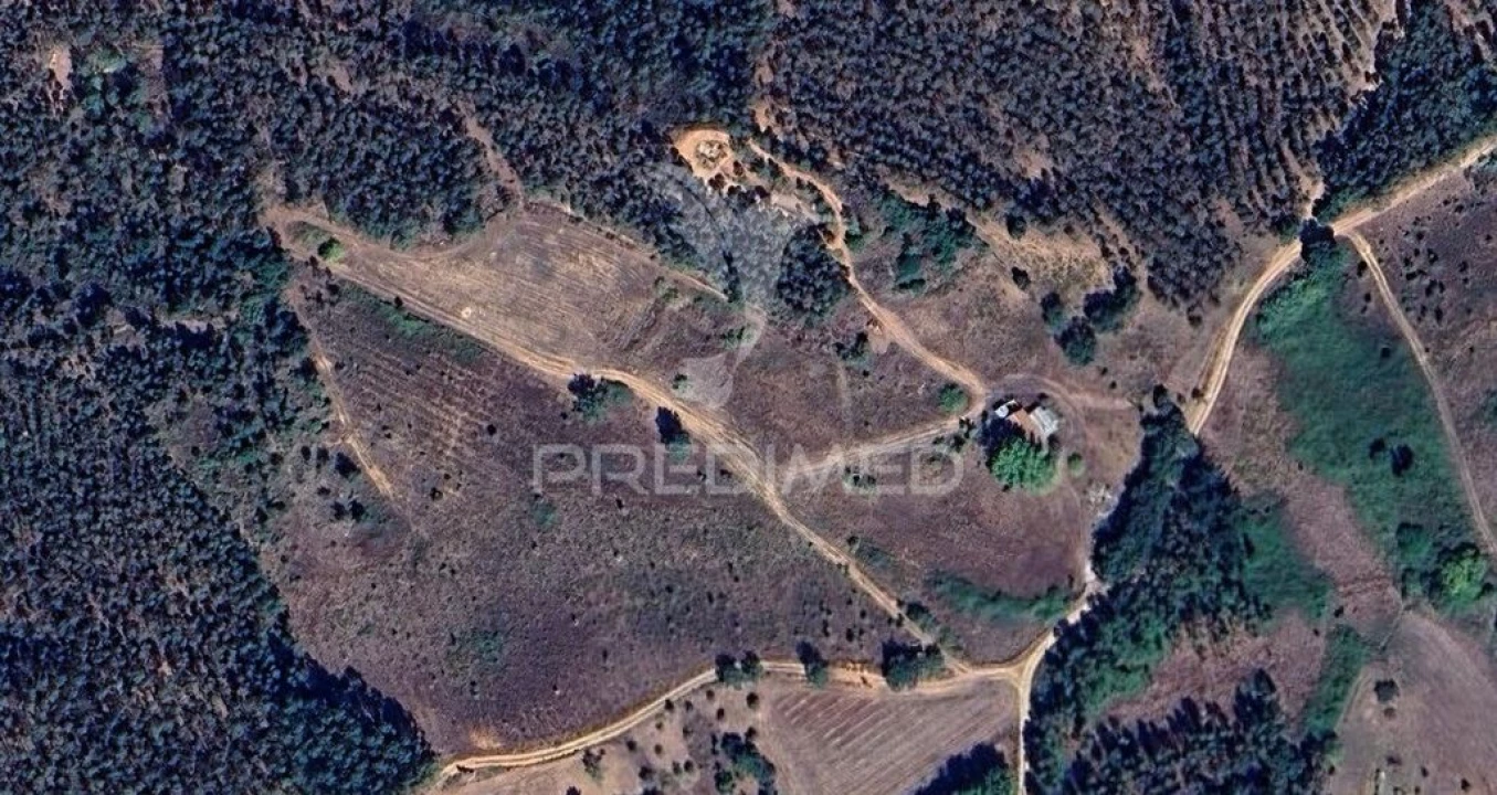 Terreno para Venda em Arneiro das Milhariças Foto 15