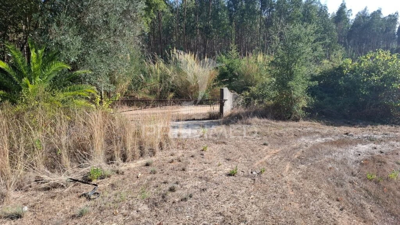 Terreno para Venda em Arneiro das Milhariças Foto 12