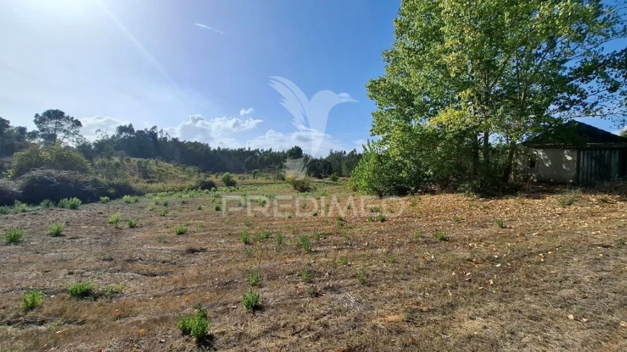 Terreno para Venda em Arneiro das Milhariças