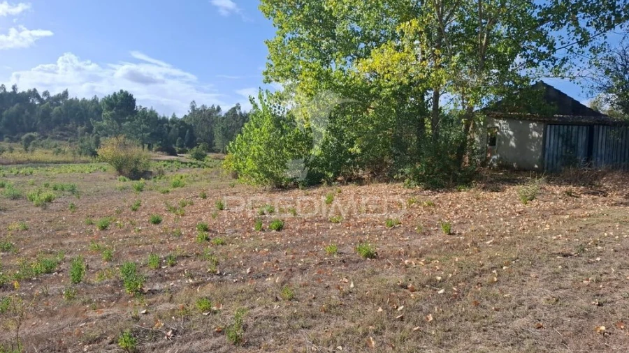 Terreno para Venda em Arneiro das Milhariças
