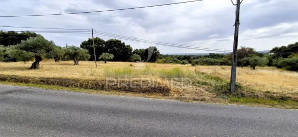 Moradia T2 para Venda em Vale de Prazeres e Mata da Rainha