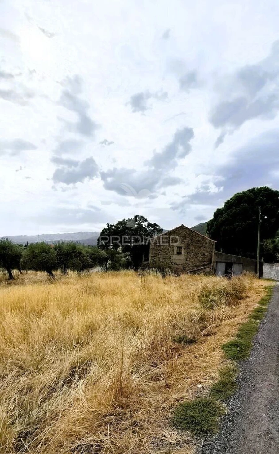 Moradia T2 para Venda em Vale de Prazeres e Mata da Rainha Foto 5