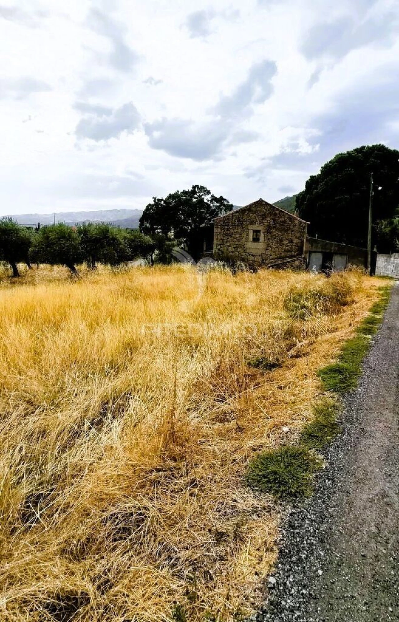 Moradia T2 para Venda em Vale de Prazeres e Mata da Rainha Foto 13