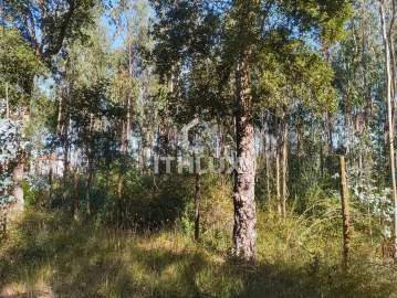 Terreno Agricola ou Rústico para Venda em Caldas da Rainha - Santo Onofre e Serra do Bouro