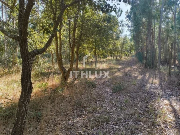 Terreno Agricola ou Rústico para Venda em Caldas da Rainha - Santo Onofre e Serra do Bouro