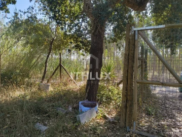 Terreno Agricola ou Rústico para Venda em Caldas da Rainha - Santo Onofre e Serra do Bouro