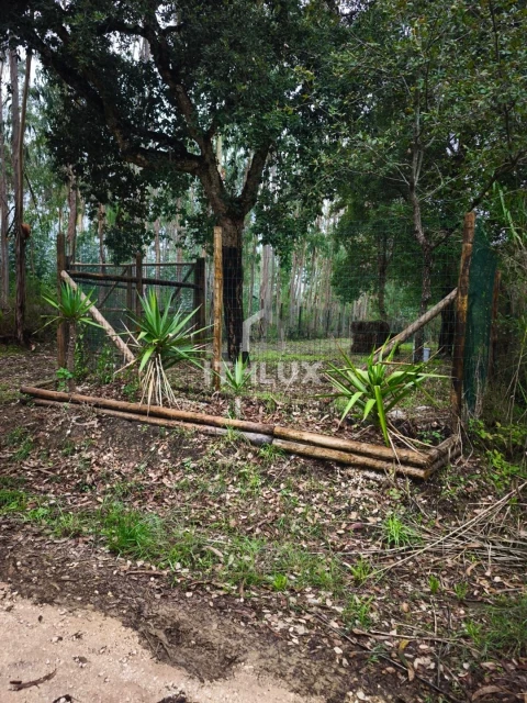 Terreno Agricola ou Rústico para Venda em Caldas da Rainha - Santo Onofre e Serra do Bouro