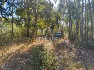 Terreno Agricola ou Rústico para Venda em Caldas da Rainha - Santo Onofre e Serra do Bouro
