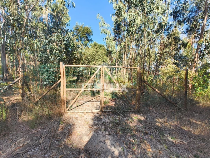 Terreno Agricola ou Rústico para Venda em Caldas da Rainha - Santo Onofre e Serra do Bouro Foto 20
