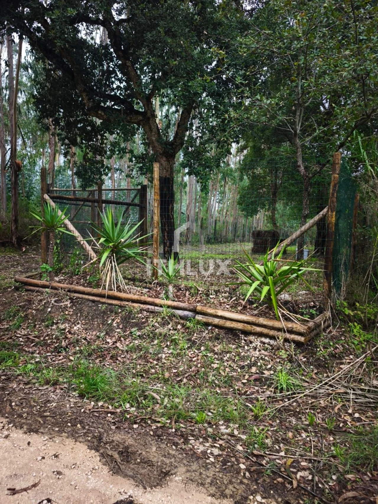Terreno Agricola ou Rústico para Venda em Caldas da Rainha - Santo Onofre e Serra do Bouro Foto 1