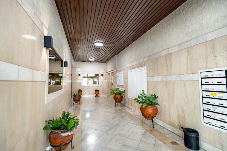 Apartamento T1 para Venda em Santo Antonio dos Olivais Foto 2