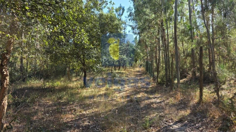 Terreno para Venda em Caldas da Rainha - Santo Onofre e Serra do Bouro