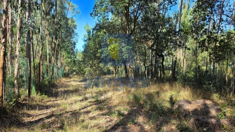 Terreno para Venda em Caldas da Rainha - Santo Onofre e Serra do Bouro