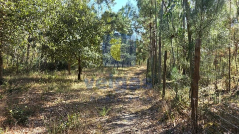 Terreno para Venda em Caldas da Rainha - Santo Onofre e Serra do Bouro