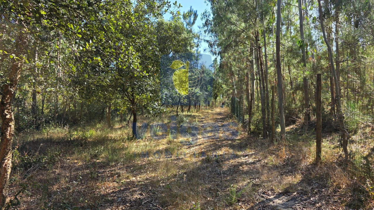 Terreno para Venda em Caldas da Rainha - Santo Onofre e Serra do Bouro Foto 4