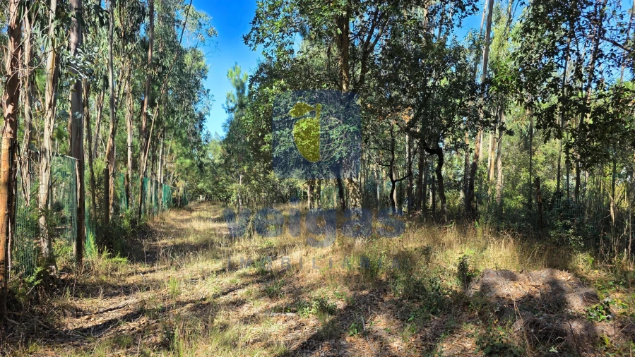 Terreno para Venda em Caldas da Rainha - Santo Onofre e Serra do Bouro Foto 5