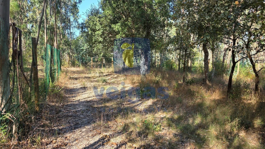 Terreno para Venda em Caldas da Rainha - Santo Onofre e Serra do Bouro Foto 2