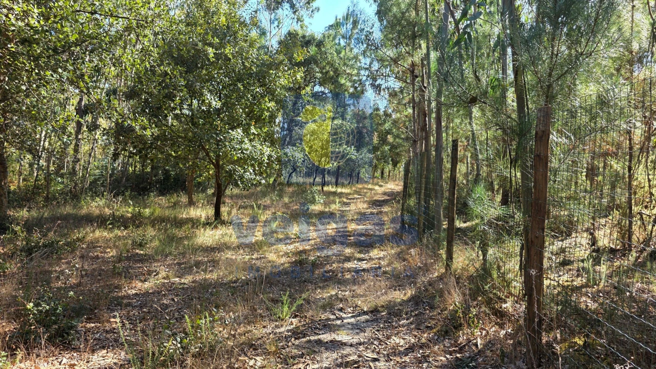 Terreno para Venda em Caldas da Rainha - Santo Onofre e Serra do Bouro Foto 7