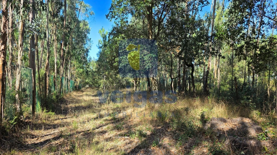 Terreno para Venda em Caldas da Rainha - Santo Onofre e Serra do Bouro