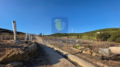 Terreno para Venda em Arruda dos Vinhos