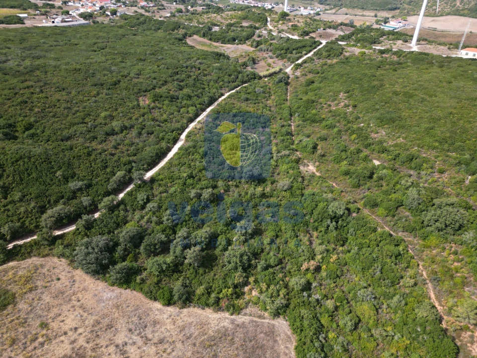Terreno para Venda em Arruda dos Vinhos Foto 12