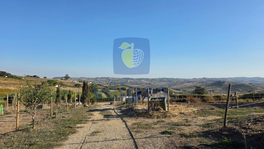 Terreno para Venda em Arruda dos Vinhos Foto 9