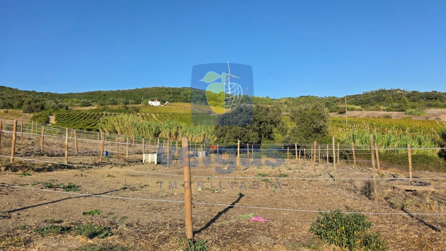 Terreno para Venda em Arruda dos Vinhos Foto 5