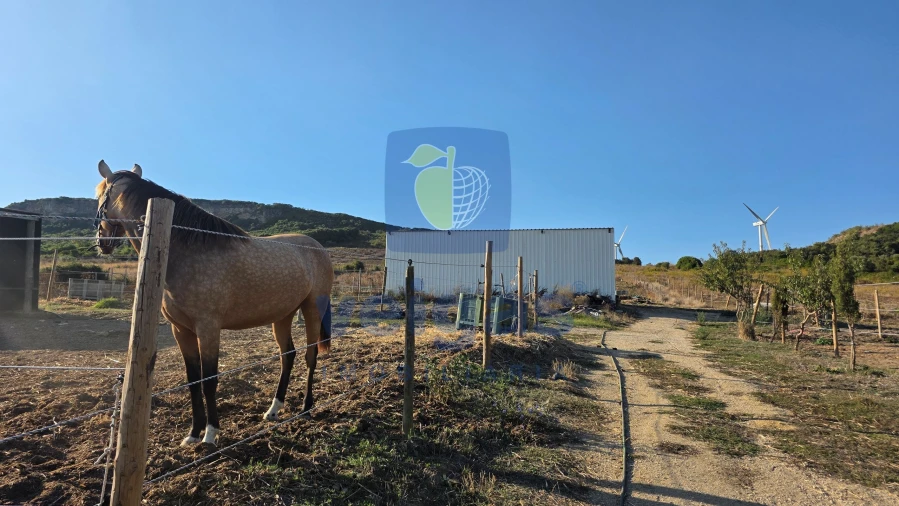 Terreno para Venda em Arruda dos Vinhos Foto 7