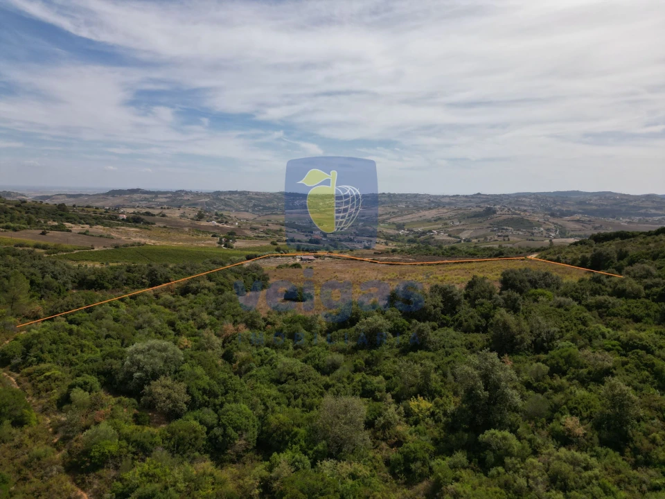 Terreno para Venda em Arruda dos Vinhos Foto 10