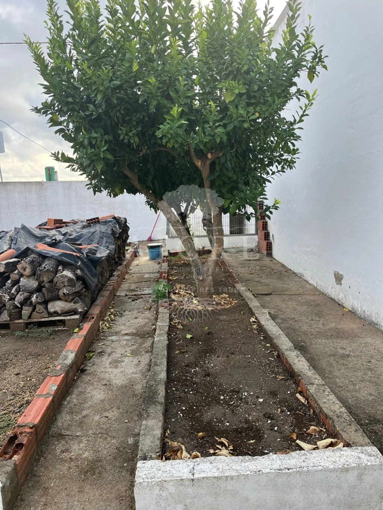 Moradia T2 para Venda em São Manços e São Vicente do Pigeiro Foto 16