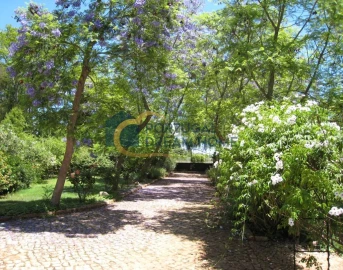 Moradia T5 para Venda em Silves