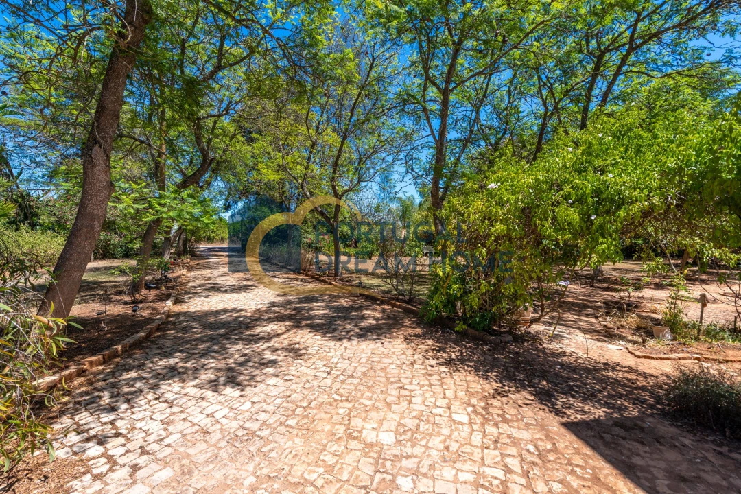 Moradia T5 para Venda em Silves Foto 49