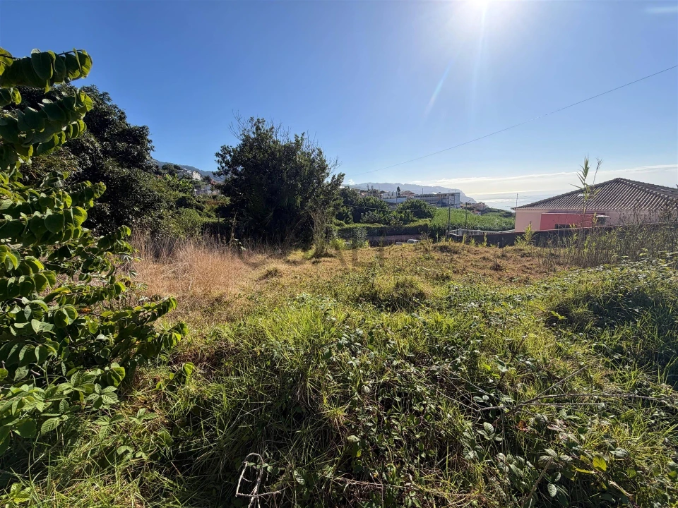 Terreno Agricola ou Rústico para Venda em Canhas Foto 10