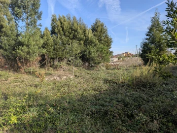 Terreno para Venda em Ílhavo (São Salvador)