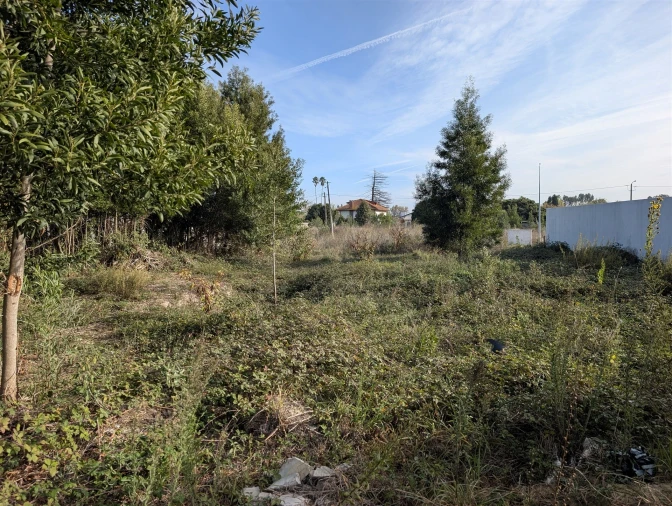 Terreno para Venda em Ílhavo (São Salvador) Foto 5