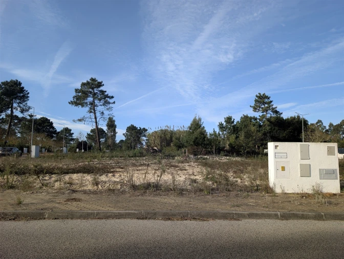 Terreno para Venda em Ílhavo (São Salvador) Foto 4