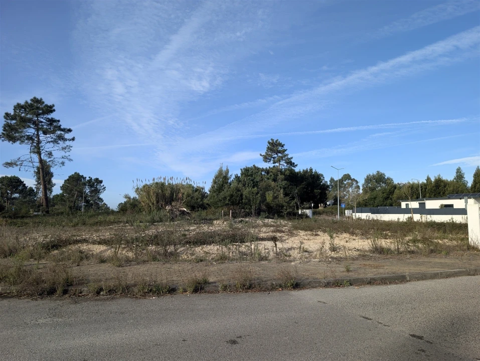 Terreno para Venda em Ílhavo (São Salvador) Foto 1