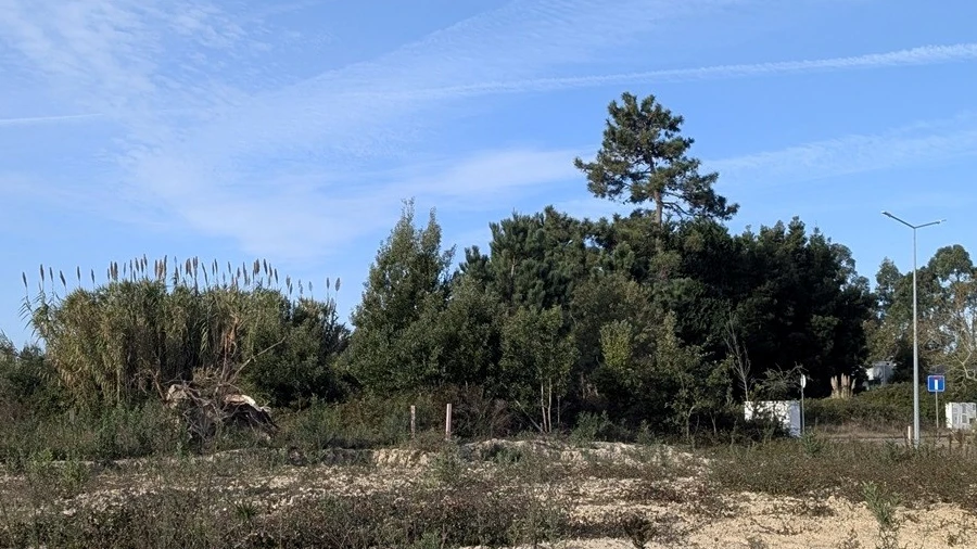 Terreno para Venda em Ílhavo (São Salvador)