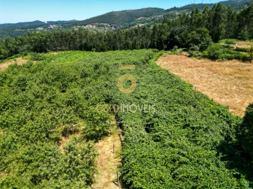 Quinta T4 para Venda em Fornelos
