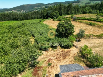 Quinta T4 para Venda em Fornelos