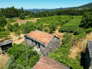 Quinta T4 para Venda em Fornelos