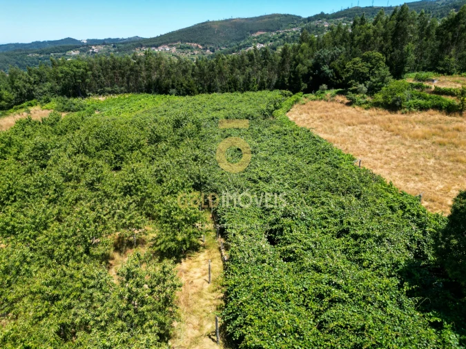 Quinta T4 para Venda em Fornelos Foto 10