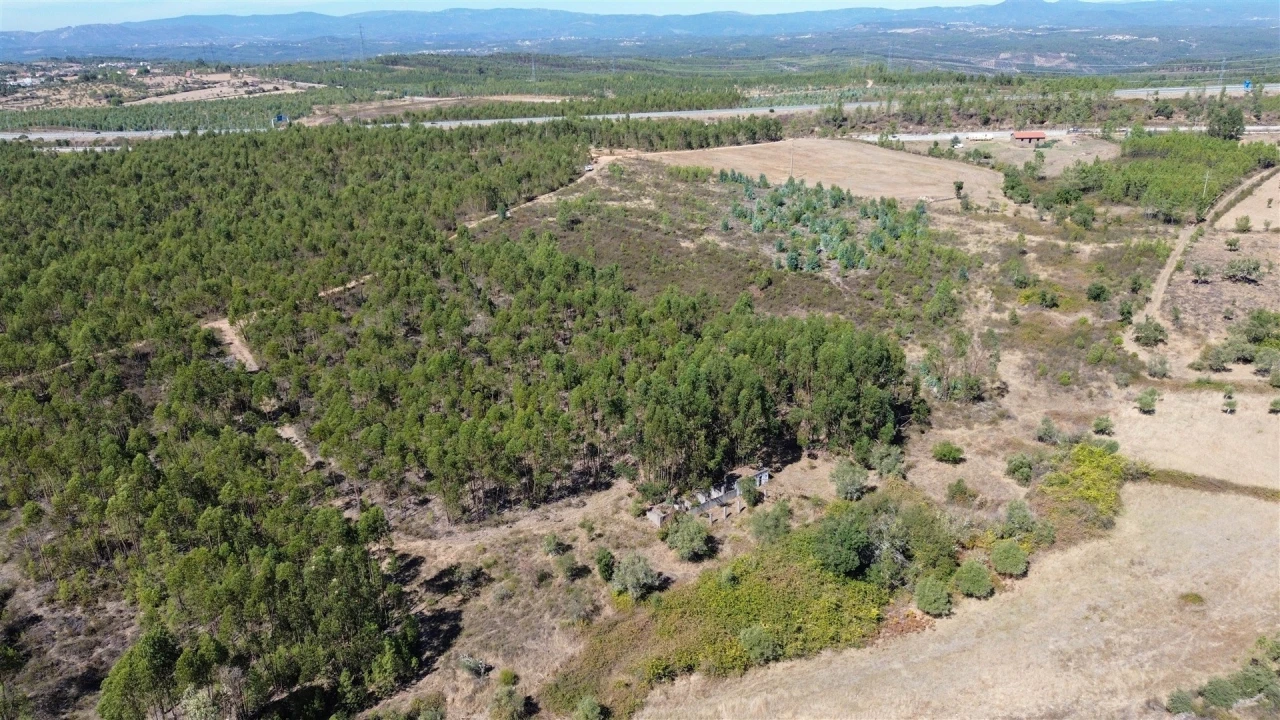 Terreno Agricola ou Rústico para Venda em Cebolais de Cima e Retaxo Foto 21