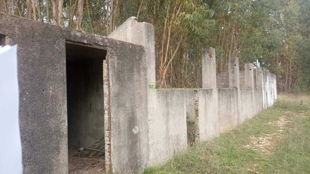 Terreno Agricola ou Rústico para Venda em Cebolais de Cima e Retaxo Foto 15