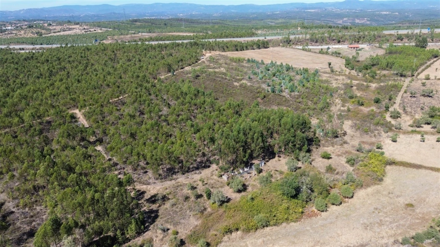 Terreno Agricola ou Rústico para Venda em Cebolais de Cima e Retaxo Foto 21