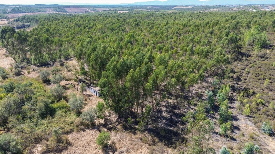 Terreno Agricola ou Rústico para Venda em Cebolais de Cima e Retaxo Foto 22