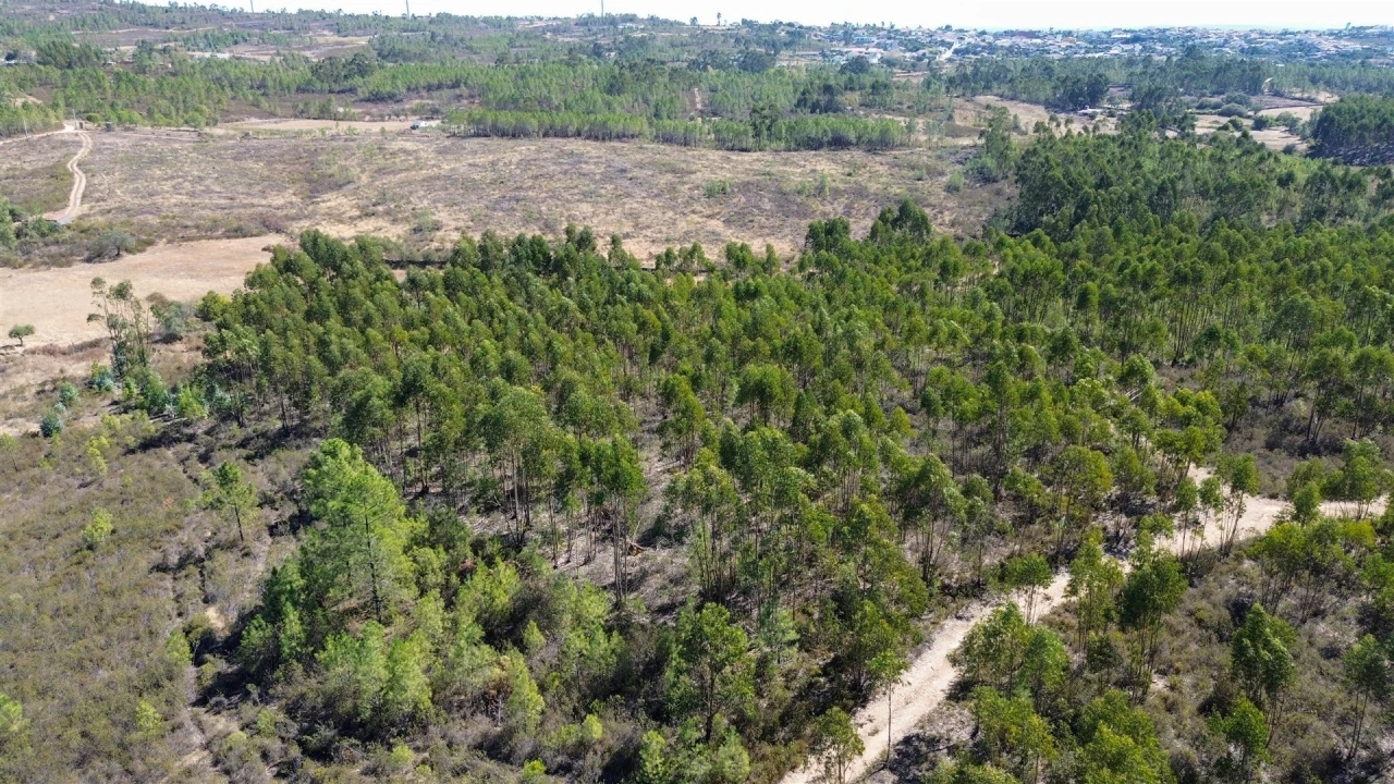 Terreno Agricola ou Rústico para Venda em Cebolais de Cima e Retaxo Foto 23