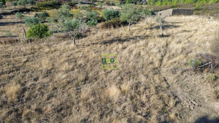 Terreno Agricola ou Rústico para Venda em Cebolais de Cima e Retaxo Foto 8