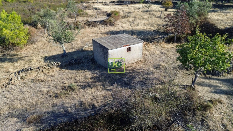 Terreno Agricola ou Rústico para Venda em Cebolais de Cima e Retaxo Foto 5