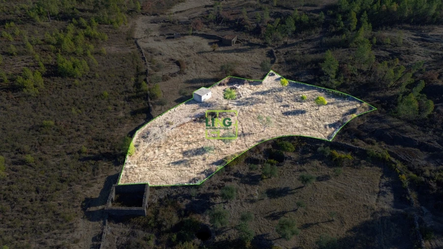 Terreno Agricola ou Rústico para Venda em Cebolais de Cima e Retaxo Foto 2
